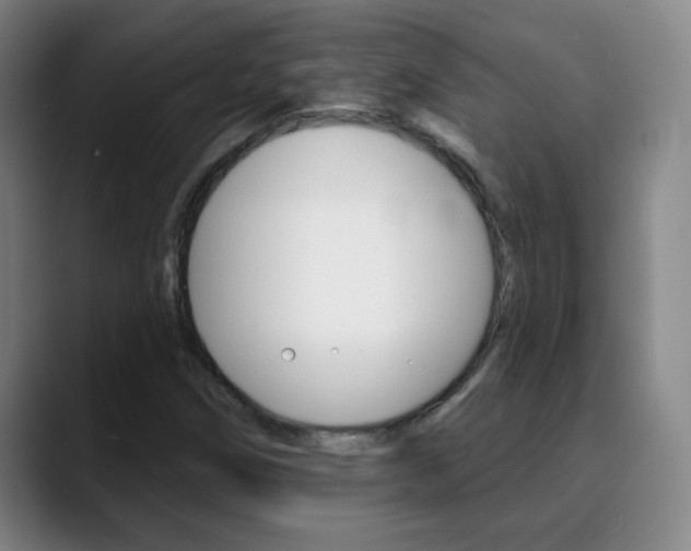 X0000090501258200707130943