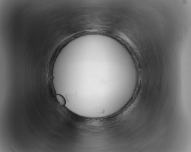 X0000090501259200707130943