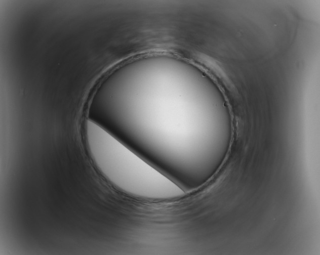 X0000090501260200707130943