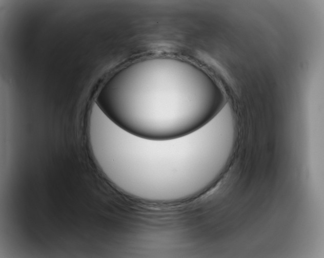 X0000090501261200707130943