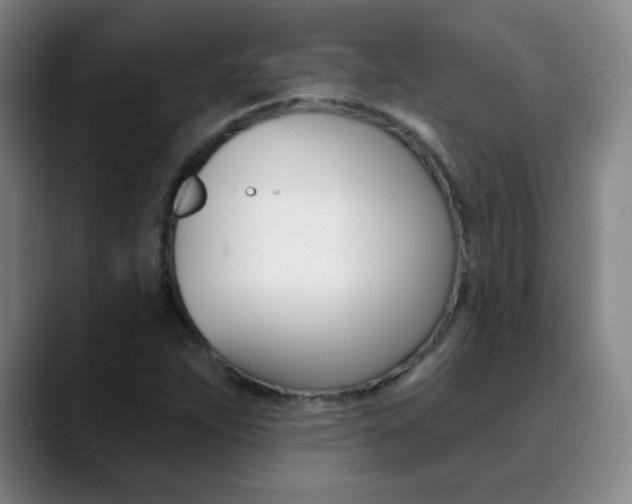 X0000090501263200707130943