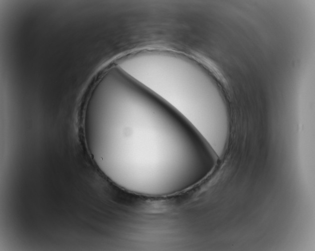 X0000090501264200707130943