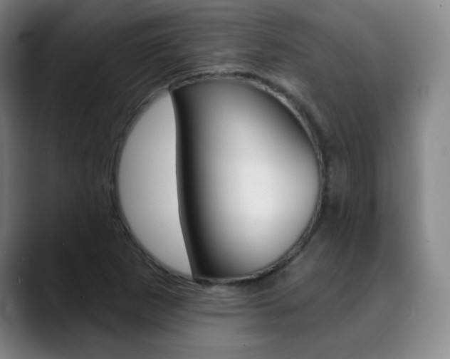 X0000090501265200707130943