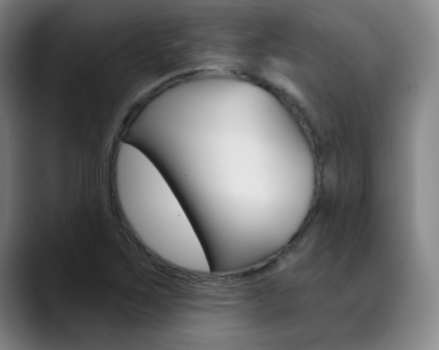 X0000090501267200707130942