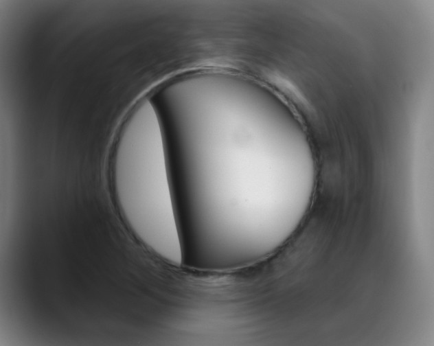 X0000090501268200707130942