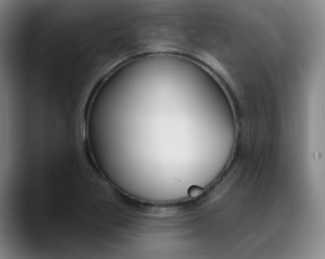 X0000090501269200707130942
