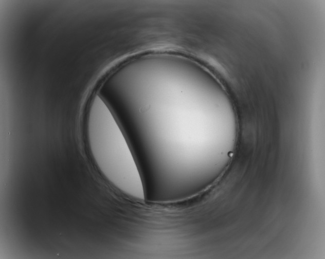X0000090501270200707130942