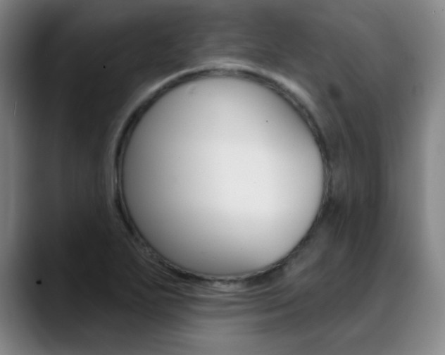 X0000090501271200707130942