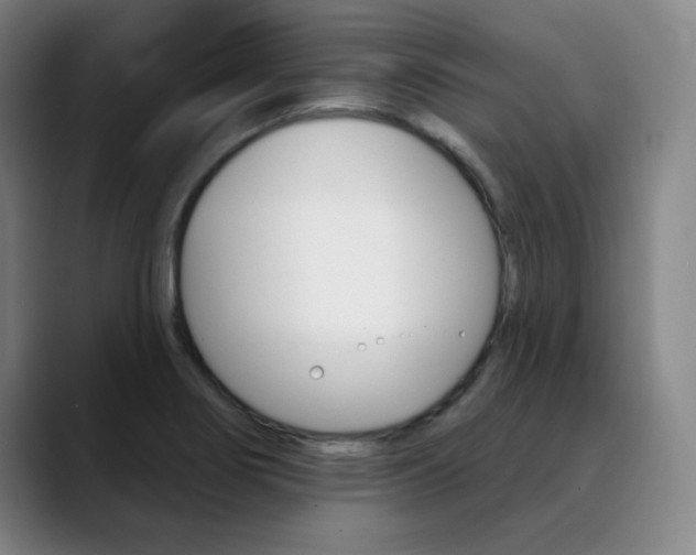 X0000090501274200707130942