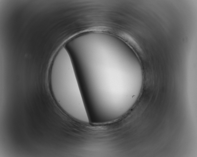 X0000090501276200707130942