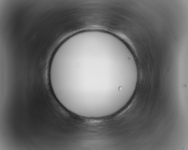 X0000090501278200707130942