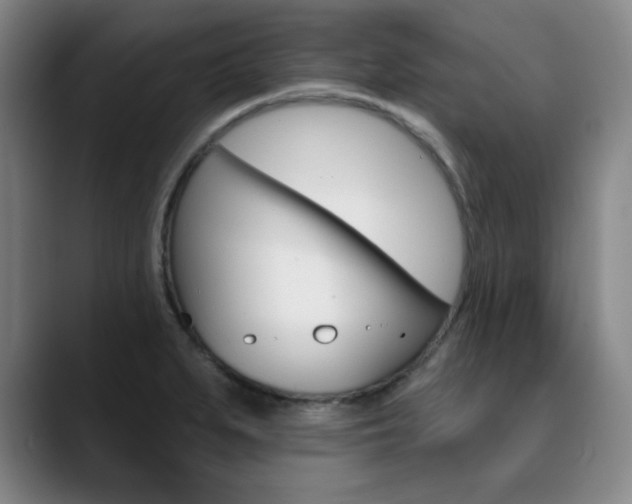 X0000090501279200707130942