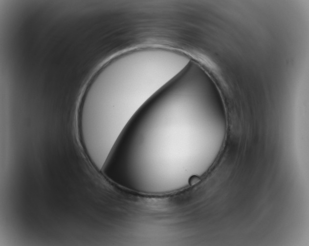 X0000090501280200707130942