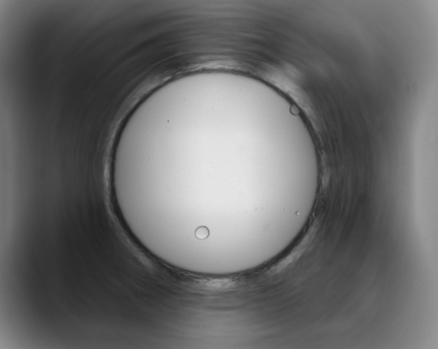 X0000090501282200707130942