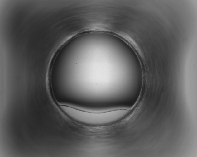 X0000090501285200707130942