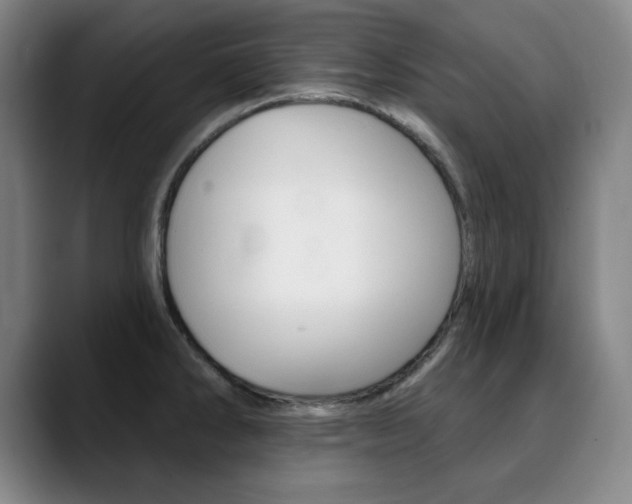 X0000090501286200707130942
