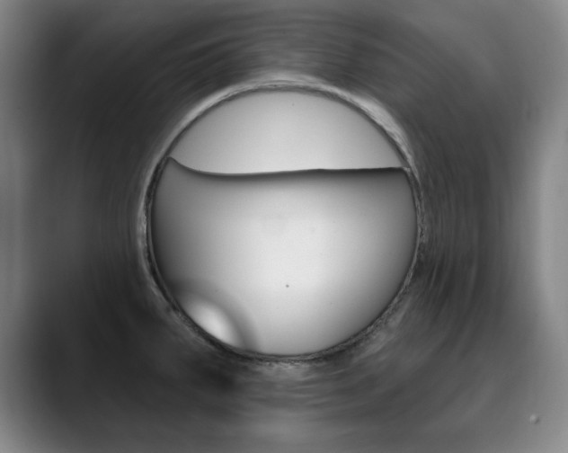 X0000090501287200707130942