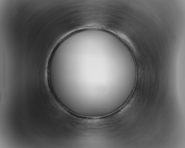 X0000090501288200707130942