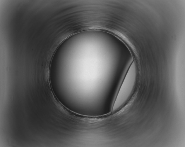 X0000090501289200707130942
