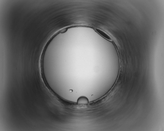 X0000090501291200707130942
