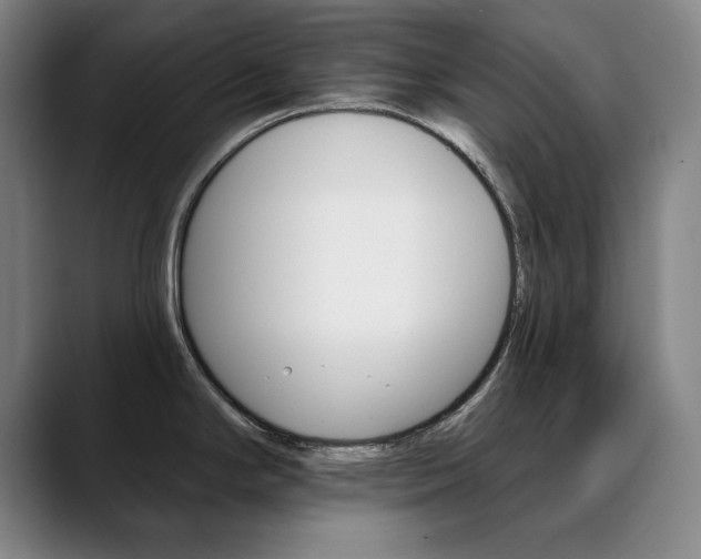 X0000090501294200707130942