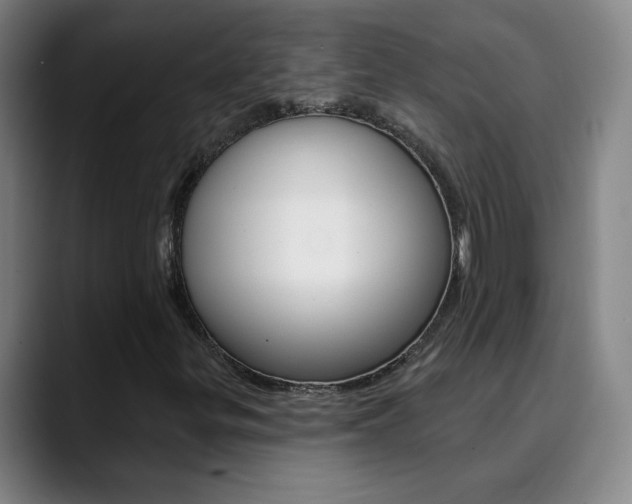 X0000090501299200707130942