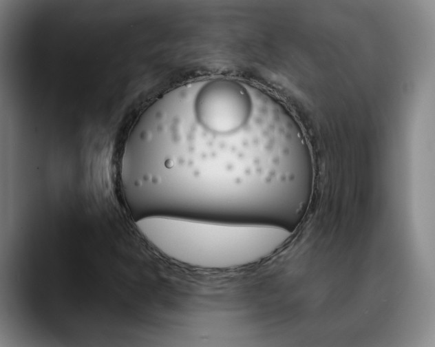X0000090501302200707130942