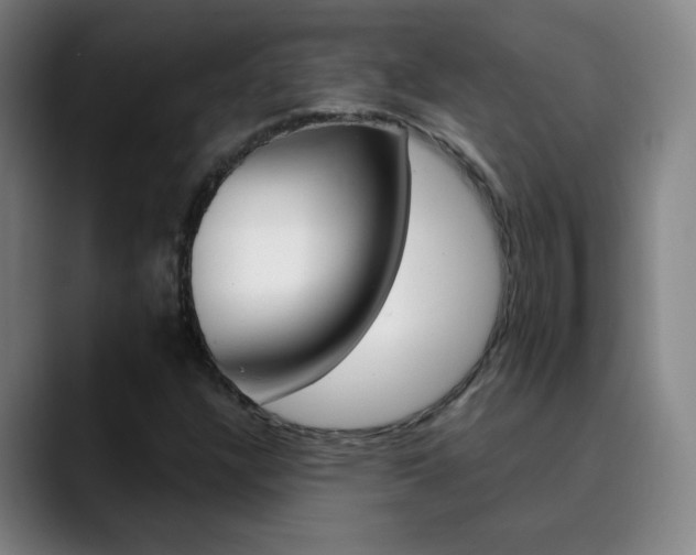 X0000090501304200707130942