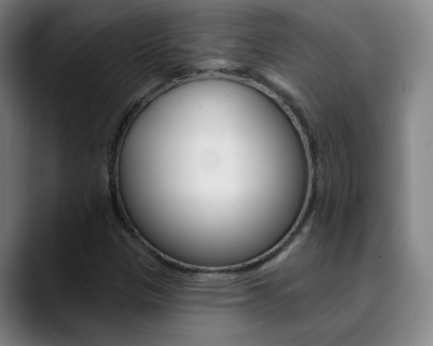 X0000090501305200707130942