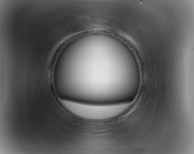 X0000090501310200707130942