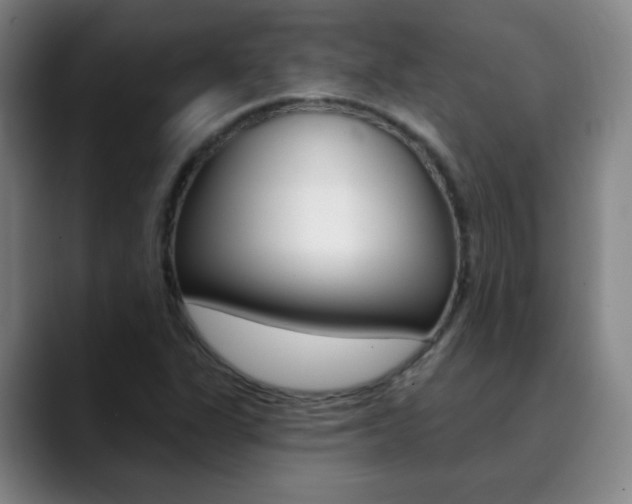 X0000090501311200707130942