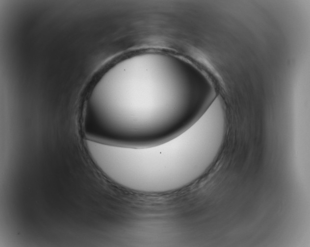 X0000090501312200707130942