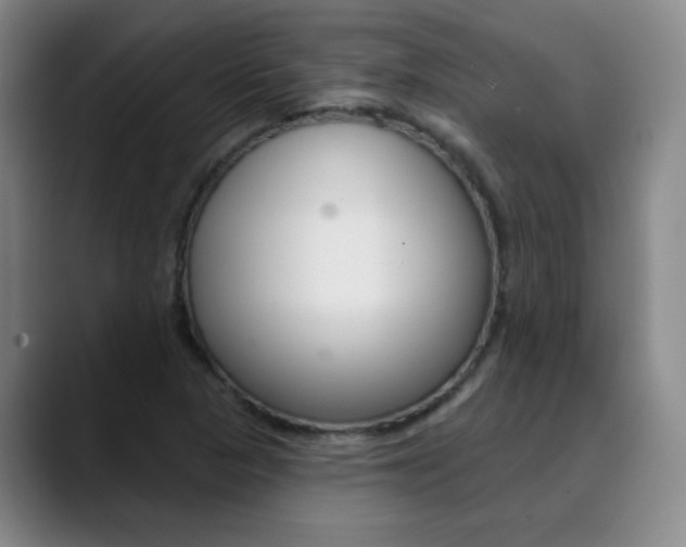 X0000090501313200707130942