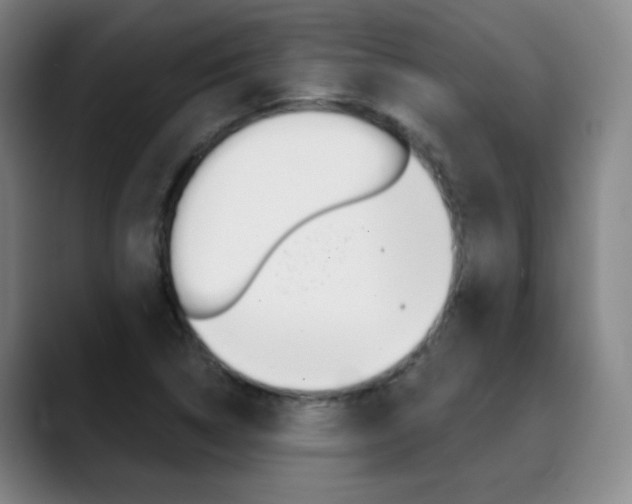 X0000090501314200707130942