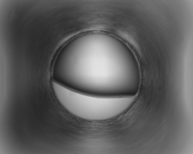 X0000090501316200707130942