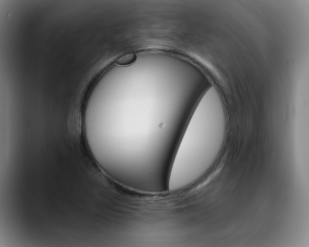X0000090501317200707130942