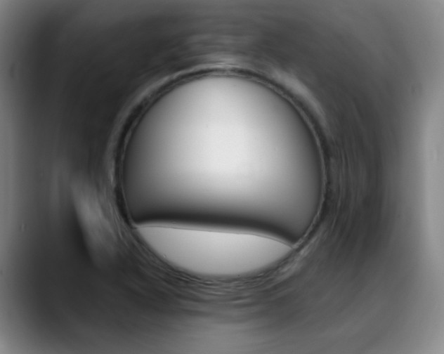 X0000090501318200707130942
