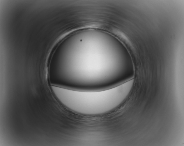 X0000090501324200707130942