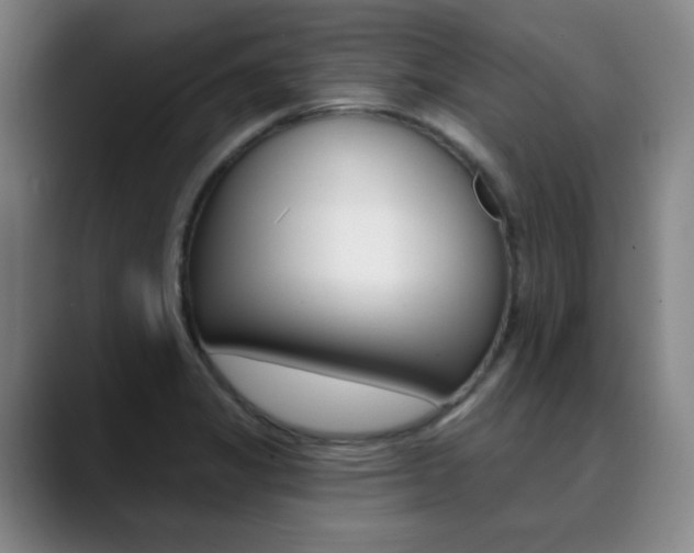 X0000090501325200707130942