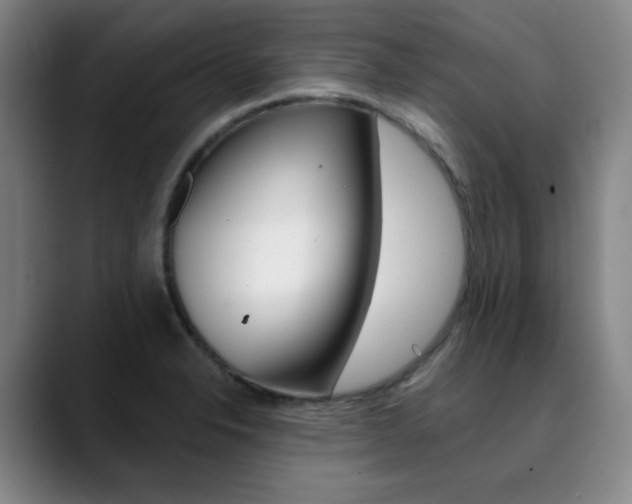 X0000090501326200707130942