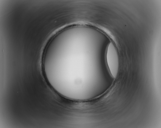 X0000090501327200707130942