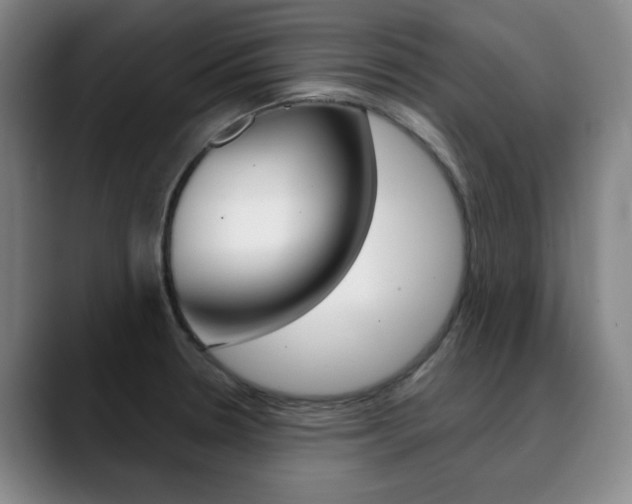 X0000090501330200707130942