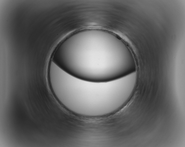 X0000090501333200707130942