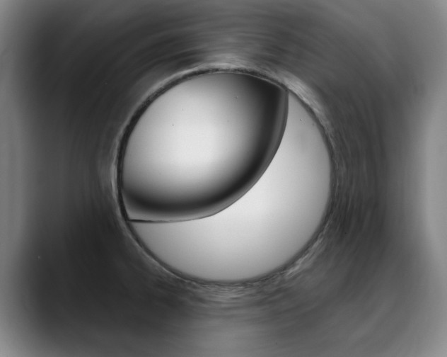 X0000090501334200707130942