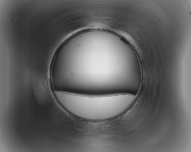 X0000090501335200707130942