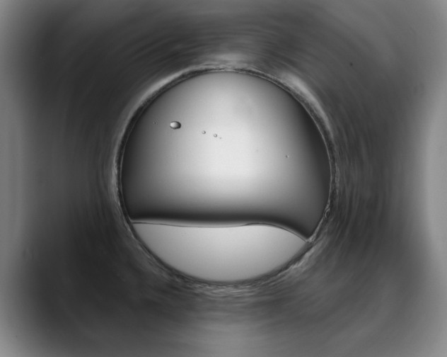 X0000090501336200707130942