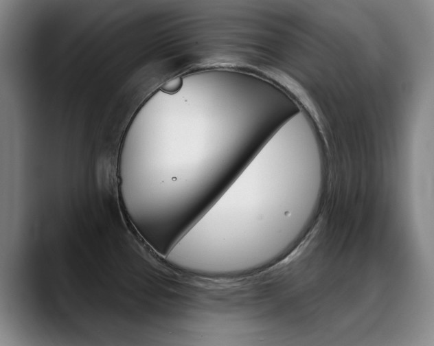 X0000090501337200707130942