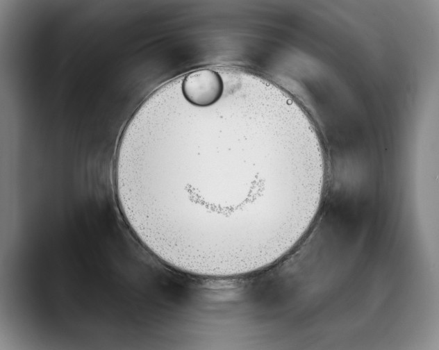 X0000090501338200707130942