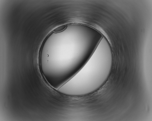 X0000090501339200707130942