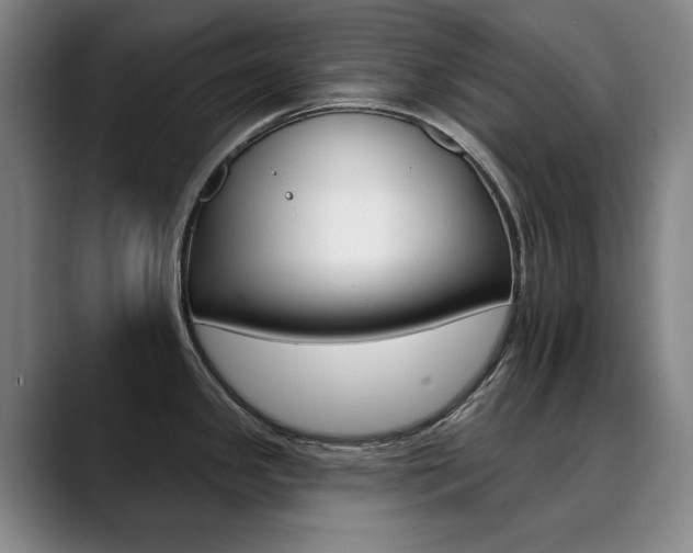 X0000090501341200707130942